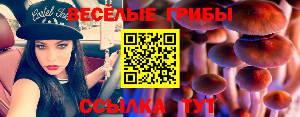 Псилоцибиновые грибы мицелий Михайловск