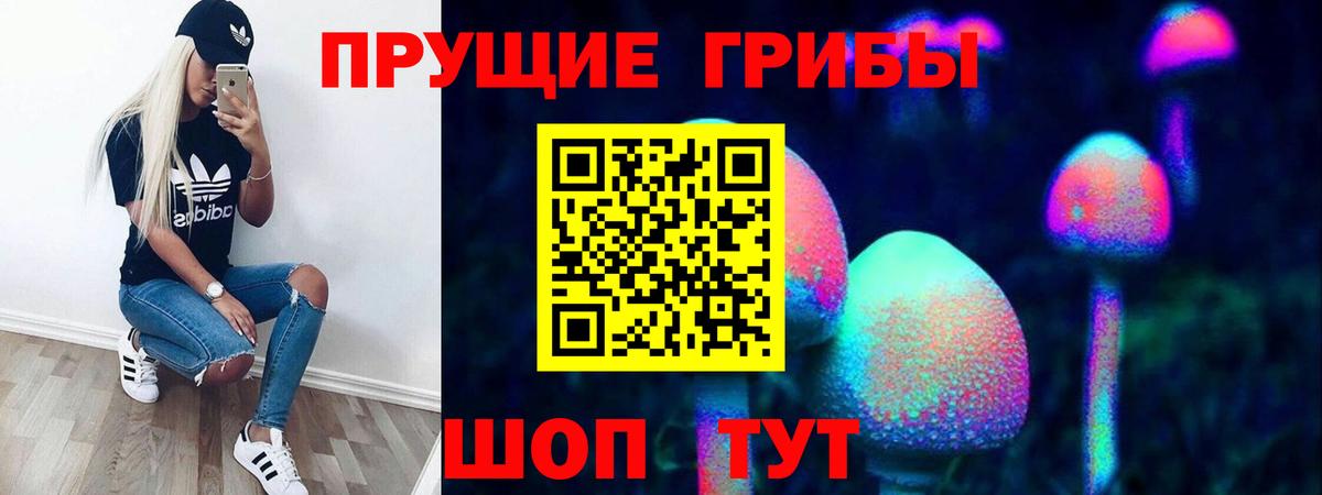 Псилоцибиновые грибы ЛСД  Вход с VPN  Галлюциногенные грибы ЛСД  Михайловск 